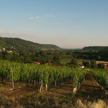 Tiny Kamptal Tatil Evi Schönberg am Kamp