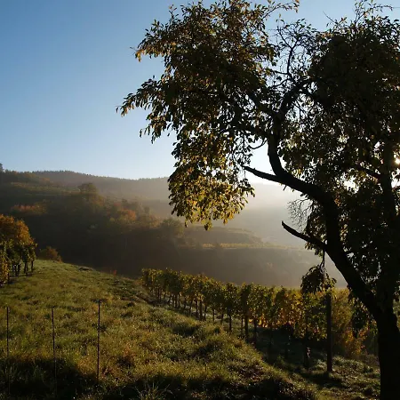 Casa vacanze Tiny Kamptal