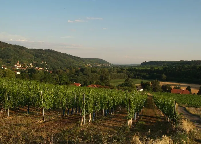 Tiny Kamptal Vakantiehuis Schönberg am Kamp