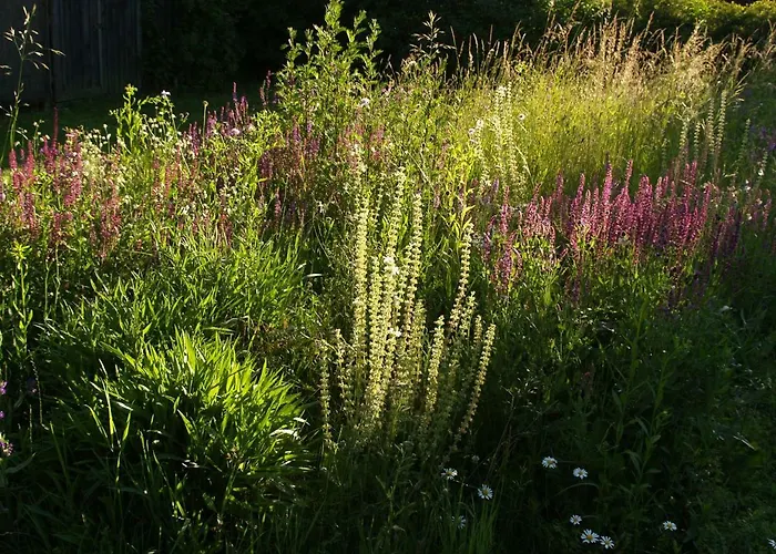 Tiny Kamptal Vakantiehuis Schönberg am Kamp