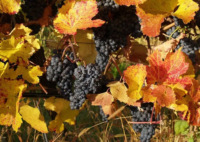 Tiny Kamptal Holiday home Schonberg am Kamp