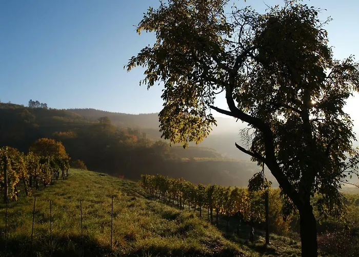 Vakantiehuis Tiny Kamptal